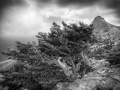 Asterousia_Koudouma_117