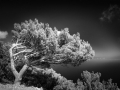 Asterousia_Koudouma_121