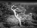 Asterousia_Koudouma_122