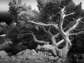 Asterousia_Koudouma_124