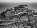 Asterousia_Koudouma_142