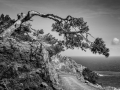 Asterousia_Koudouma_146